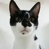mizuki