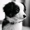 Subbu Ram