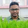 Nur Hossain Mandol