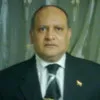 Ali Kamel kotb