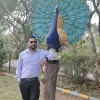 Ashish Malviya