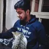 Kaustubh Shinde
