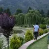 Reyan Majeed