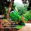 Coffeeriver Cottages