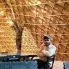 Alok Kumar