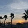Sumaya