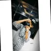 Vinoth Kumar