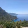 Murat tlgn