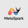 Metaspark Marketing