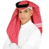 Abdulrhman AL Mutairi