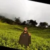 Narendhar Reddy