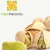 Falat Pistachio