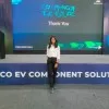Damini Pawar