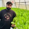 Ankit Aman