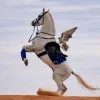 Walaa Mohamed