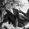 César