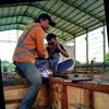 Arif Hidayat