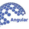 Angular IT Solution
