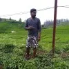 Sathesh Sakthivel