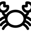 RI Coln NG