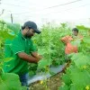 Vaddepally Prasad