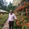 Anil Kumar Tiwari