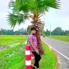 R Rashed