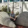 Mahmoud Habboub