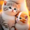 begum