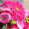 Asma Maqsood