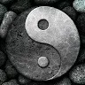 sonny nhan