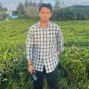 nashrul azwar
