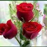 Md Ahmad Raza
