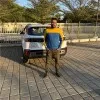 Nikhil kumar