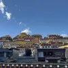 Nhan Luong