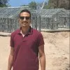 Ehab Emam