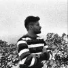 Vidhik