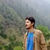 Syed Zeeshan Ali
