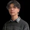Hsiu Chieh Lee