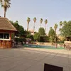 Motaz Adel