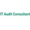 IT Security and Audit Consultant