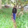 Bharathi