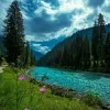sheeba shabir bhat