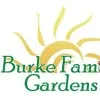 Jamie Burke