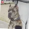 Hector Felix
