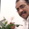 RAYEES ABDULLA