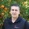 Joe Tullio