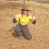 Marcella Fry