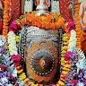 Bhupendra Vashishth
