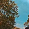 Srikanth Reddy Pinnelli